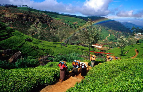 ���������� ������ �� ����� ������������ ����� ��������� 2012 ���� � ���-����� � �������